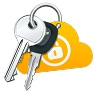 Password Manager - Norton Identity Safe